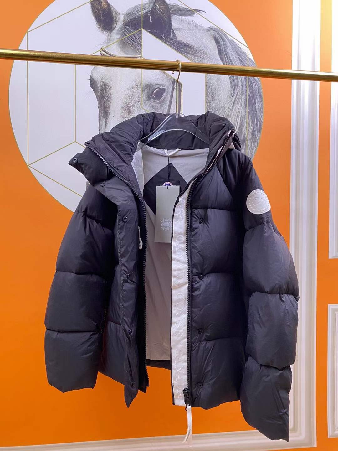 Canada Goose Down Jackets